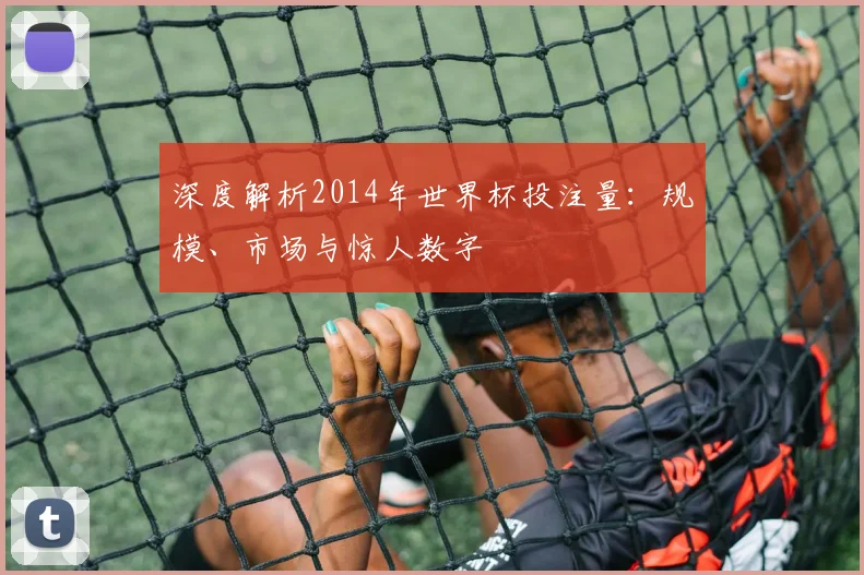 深度解析2014年世界杯投注量：规模、市场与惊人数字