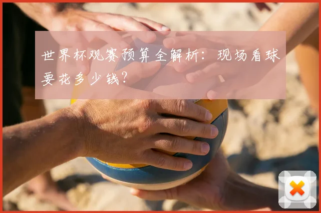 世界杯观赛预算全解析:现场看球要花多少钱?