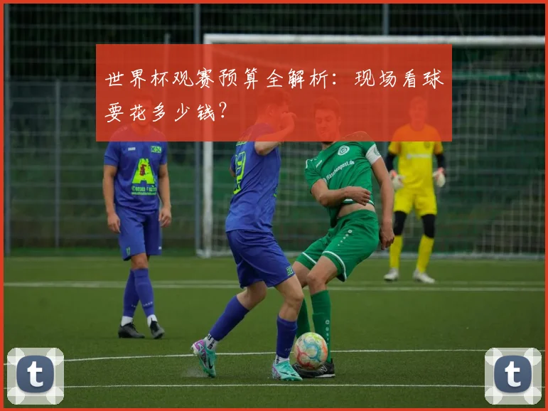 世界杯观赛预算全解析:现场看球要花多少钱?