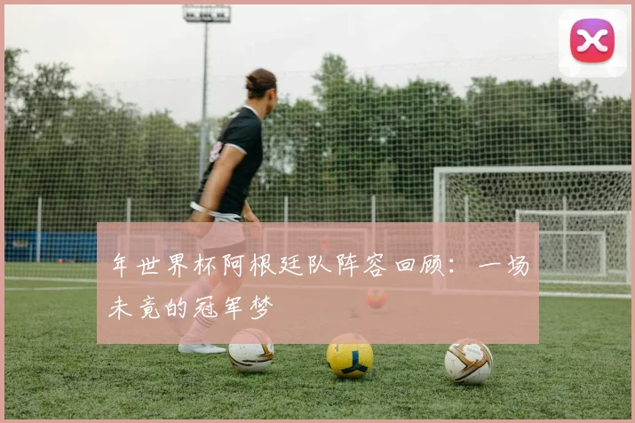 年世界杯阿根廷队阵容回顾:一场未竟的冠军梦