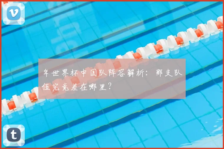 年世界杯中国队阵容解析：那支队伍究竟差在哪里？