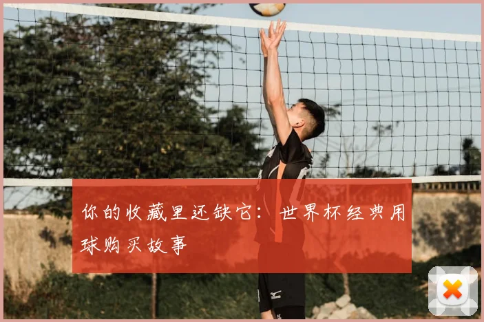 你的收藏里还缺它：世界杯经典用球购买故事