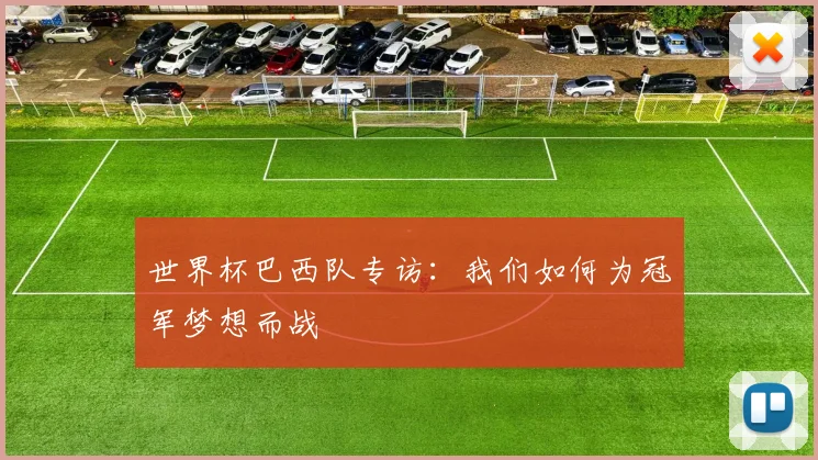 世界杯巴西队专访:我们如何为冠军梦想而战