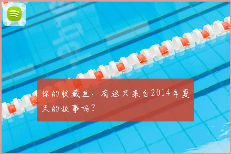 你的收藏里，有这只来自2014年夏天的故事吗？